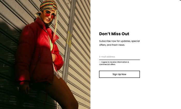 Basic - Newsletter full-screen