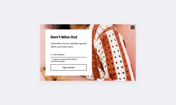 Basic - Newsletter image in bg