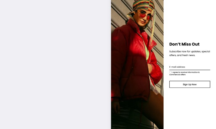 Basic - Newsletter sidebar left