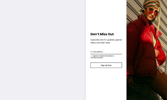 Basic - Newsletter sidebar right