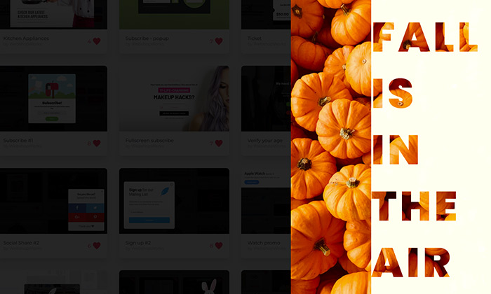 Fall special
